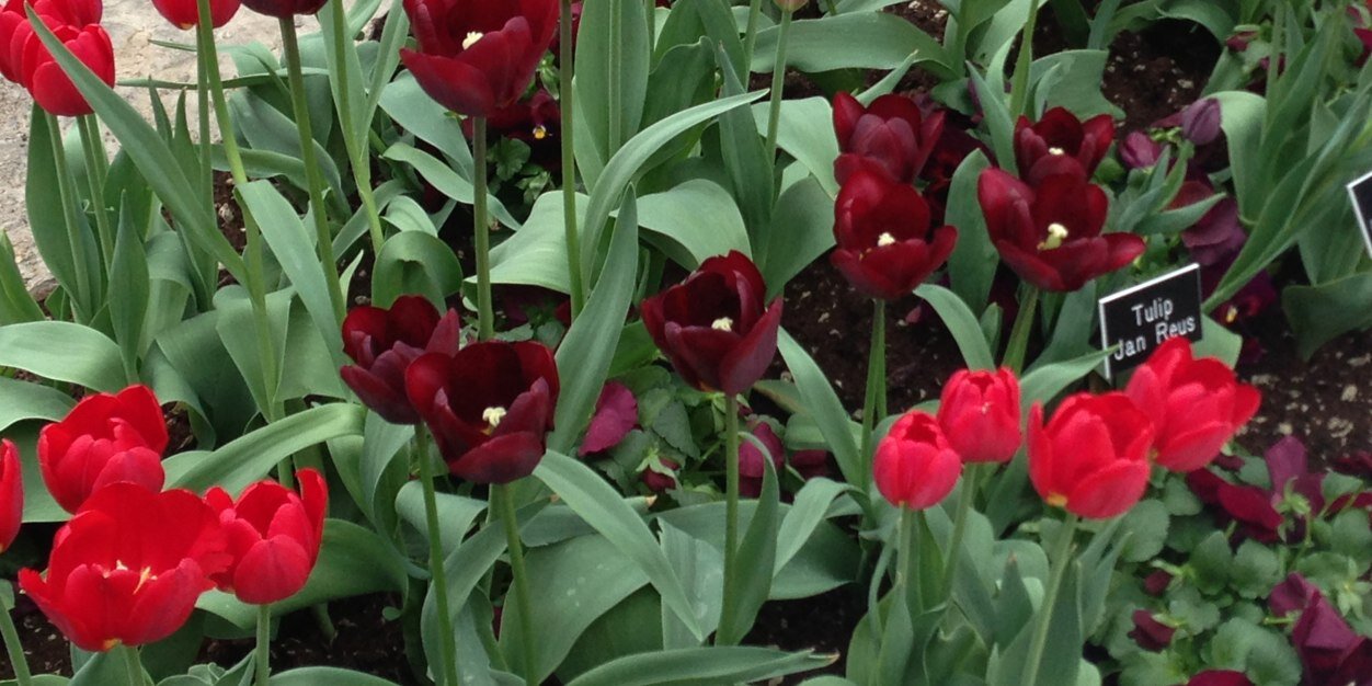 JillSteffens's profile banner image