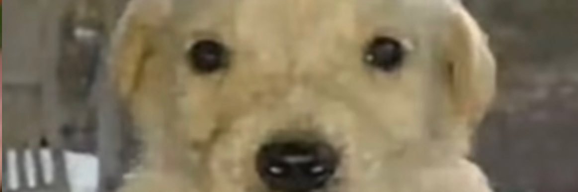 toniomadrid's profile banner image