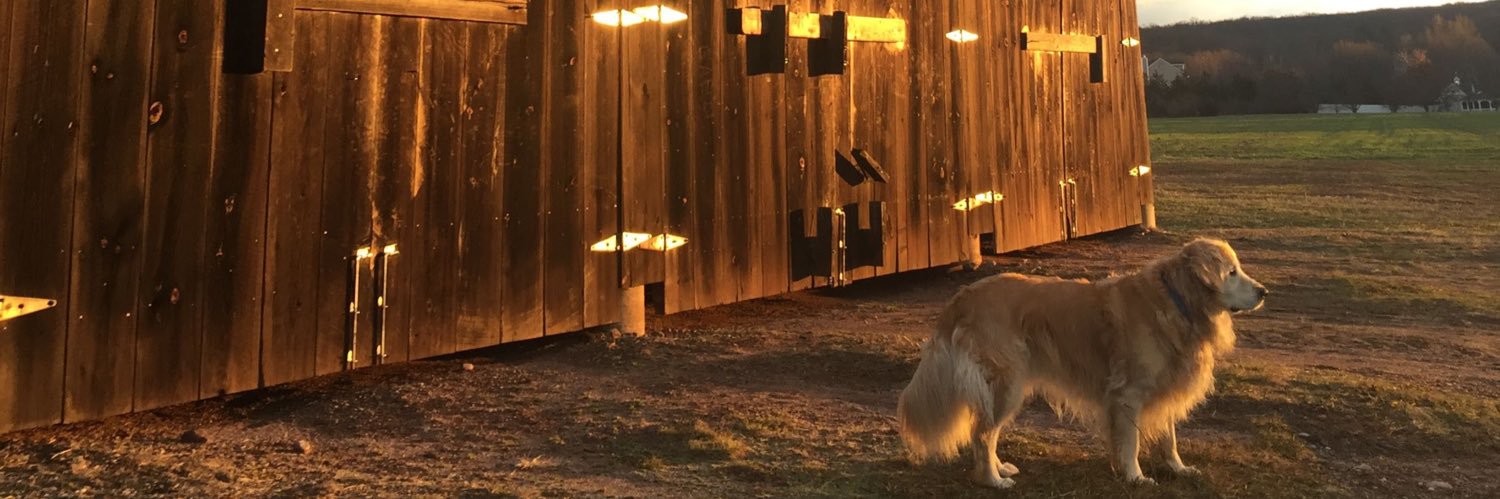 aTrikyDiablo's profile banner image