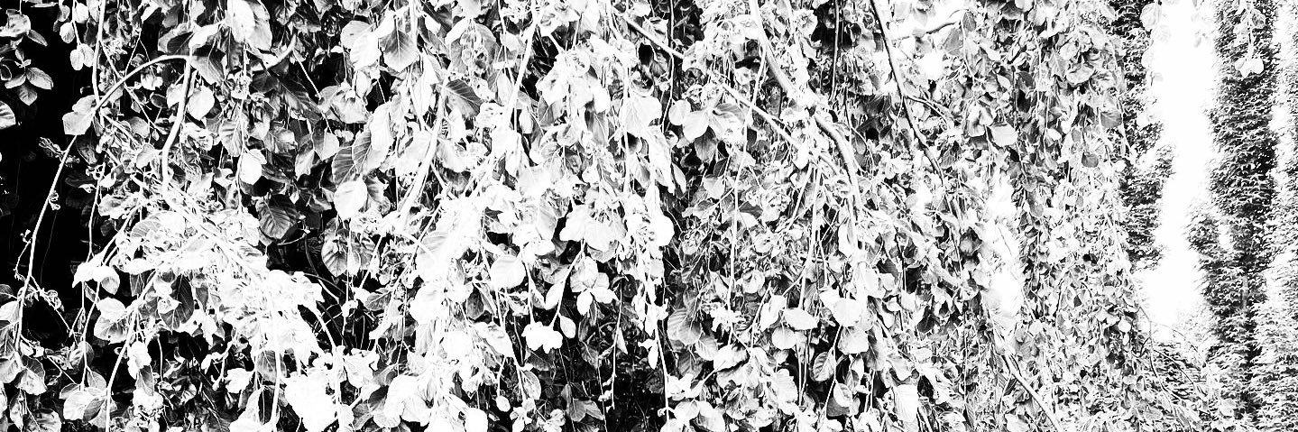 emmarie313's profile banner image