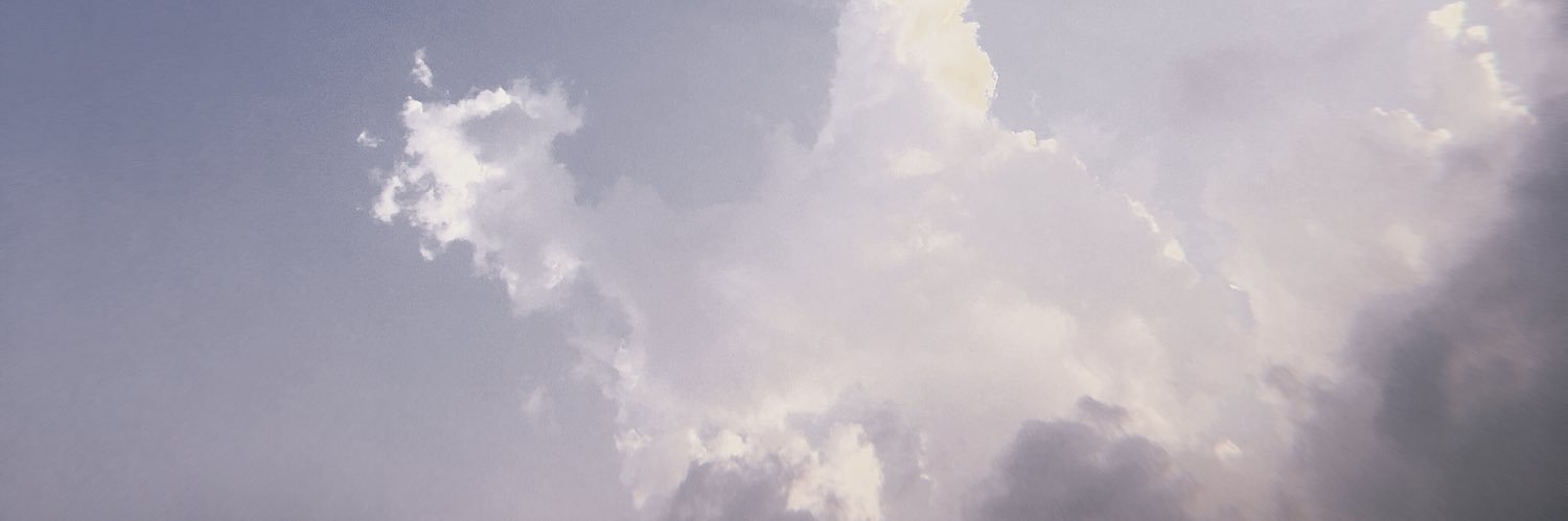 eynicha's profile banner image