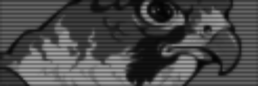 n|h banner