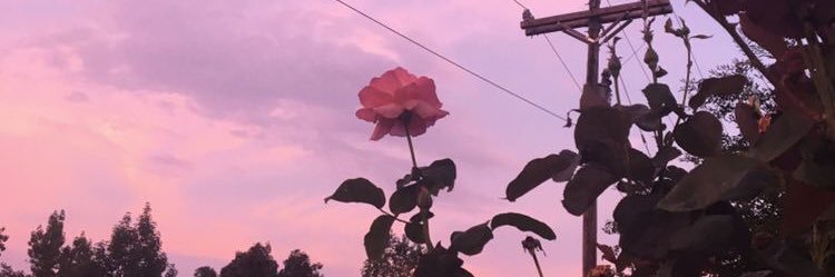 JasmineLovees's profile banner image