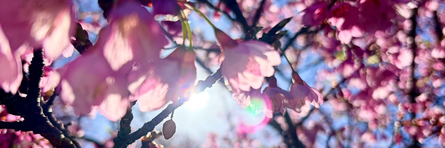 tha_rielo's profile banner image