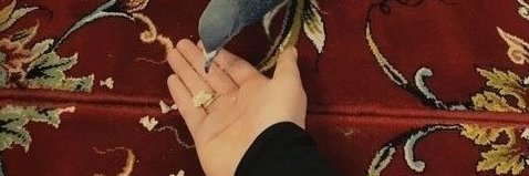 سَادِاتِ🌱 banner