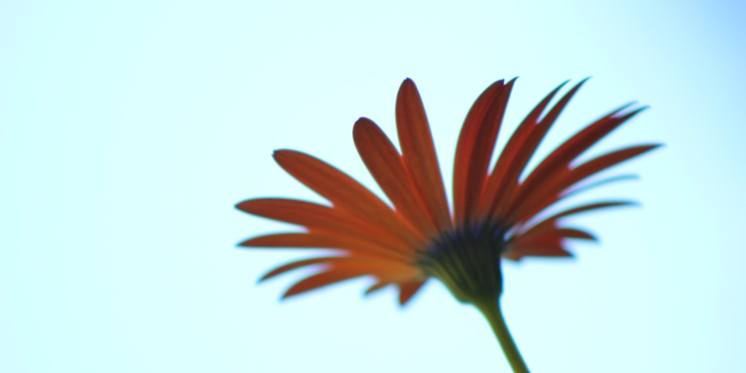 sarahh__wright's profile banner image
