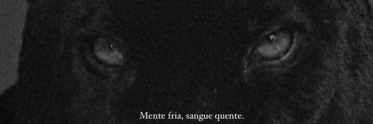 𝑨𝒏𝒅𝒓𝒊𝒆𝒍𝒍𝒚🌪️ banner