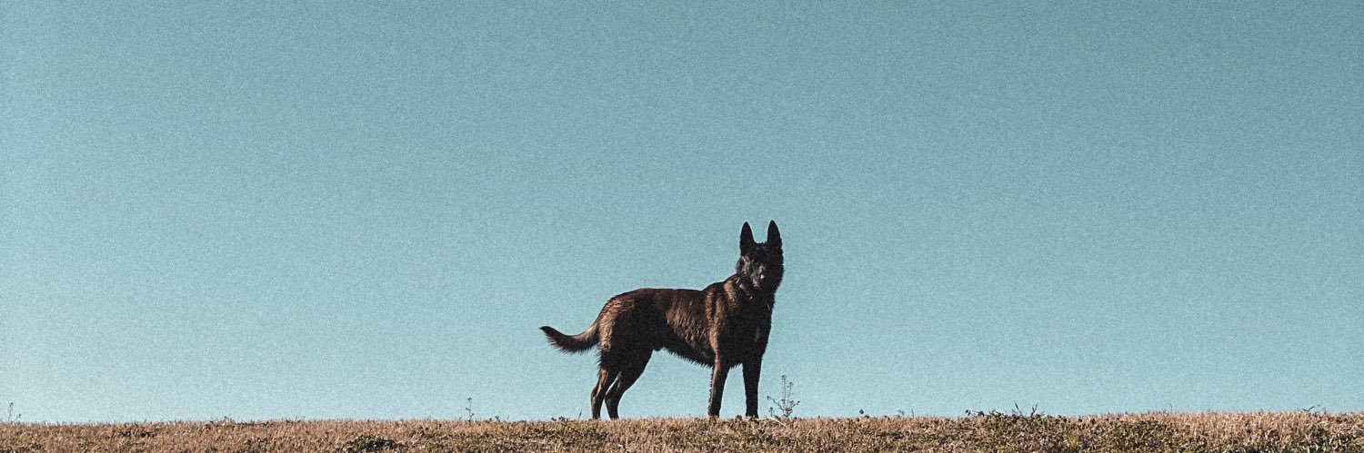 Hanniie06's profile banner image