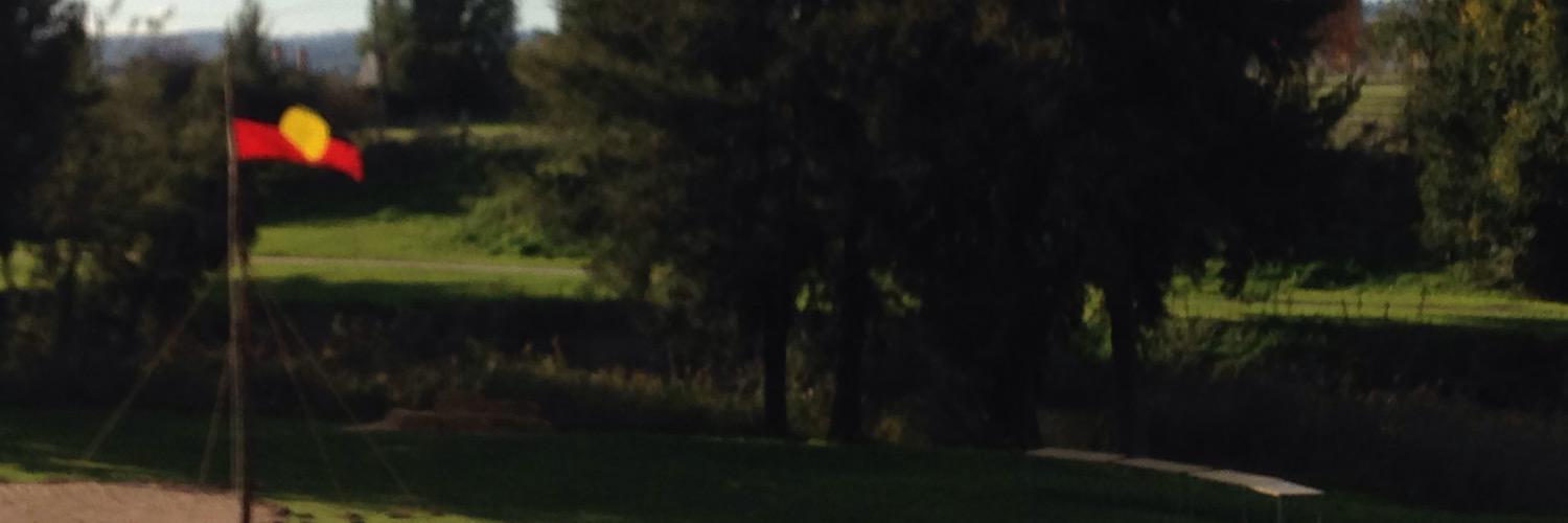 suzanne ingram banner