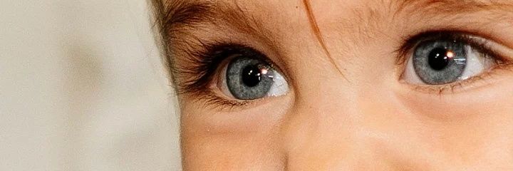 antodoleschan's profile banner image