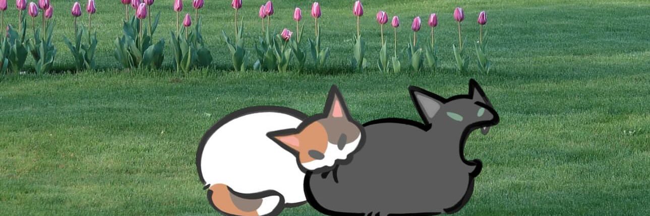 Puddingcustard2's profile banner image