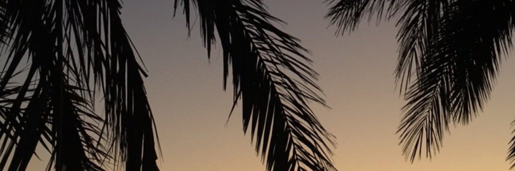roxro30's profile banner image