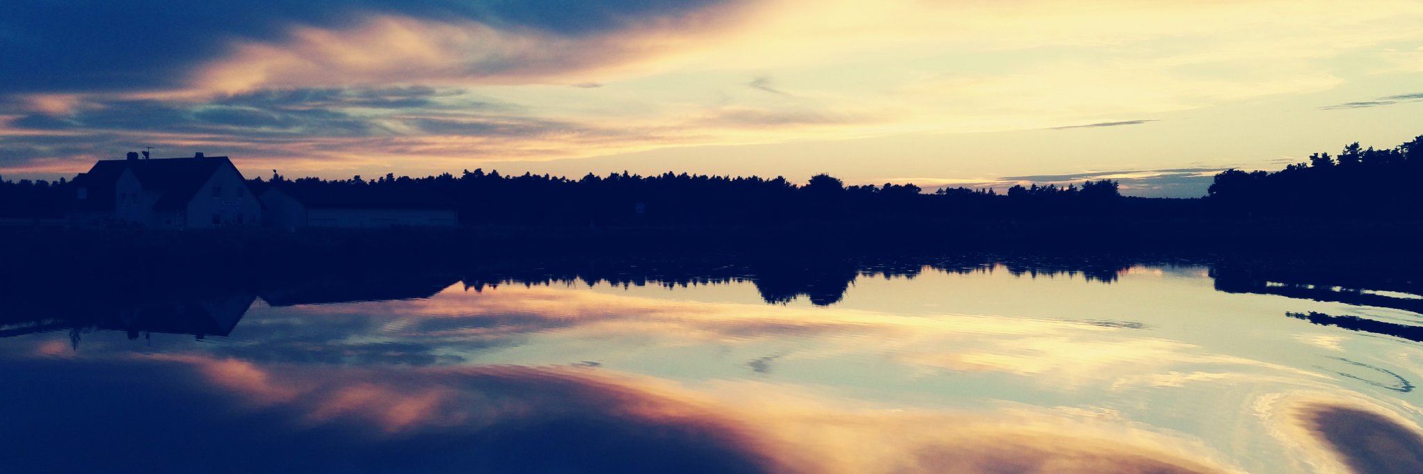 Laszlo banner