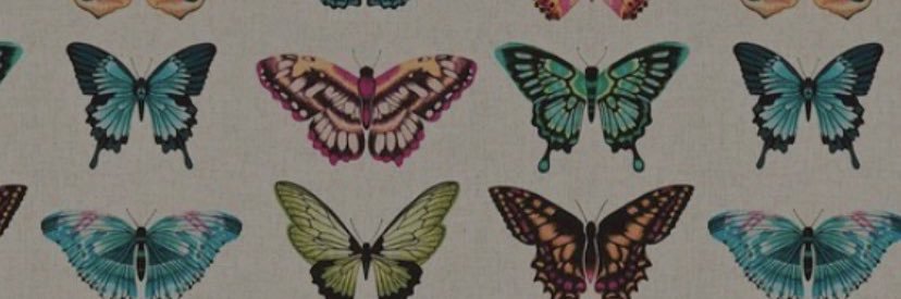 BriaNichole12's profile banner image