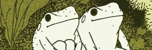 dilrit's profile banner image