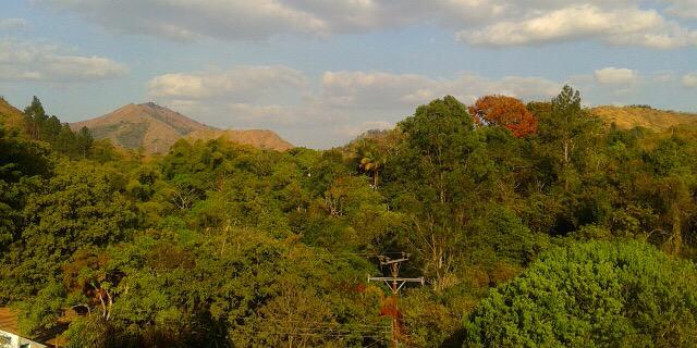 mfernandez1's profile banner image