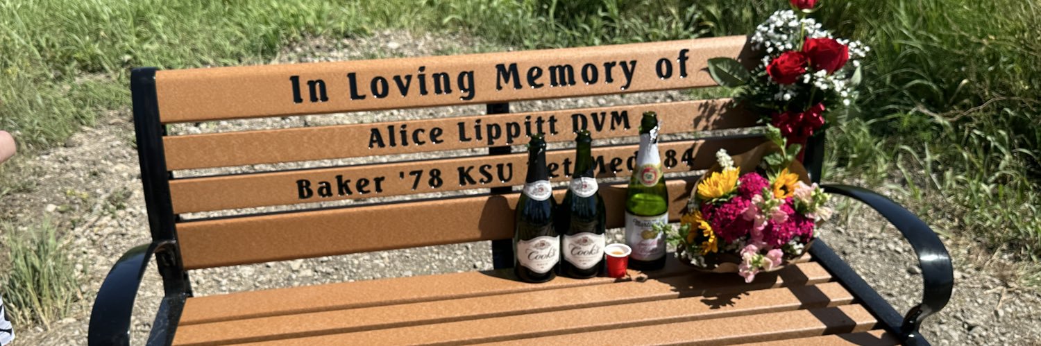 dlippitt's profile banner image