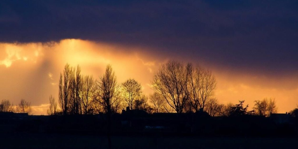 runner4449's profile banner image