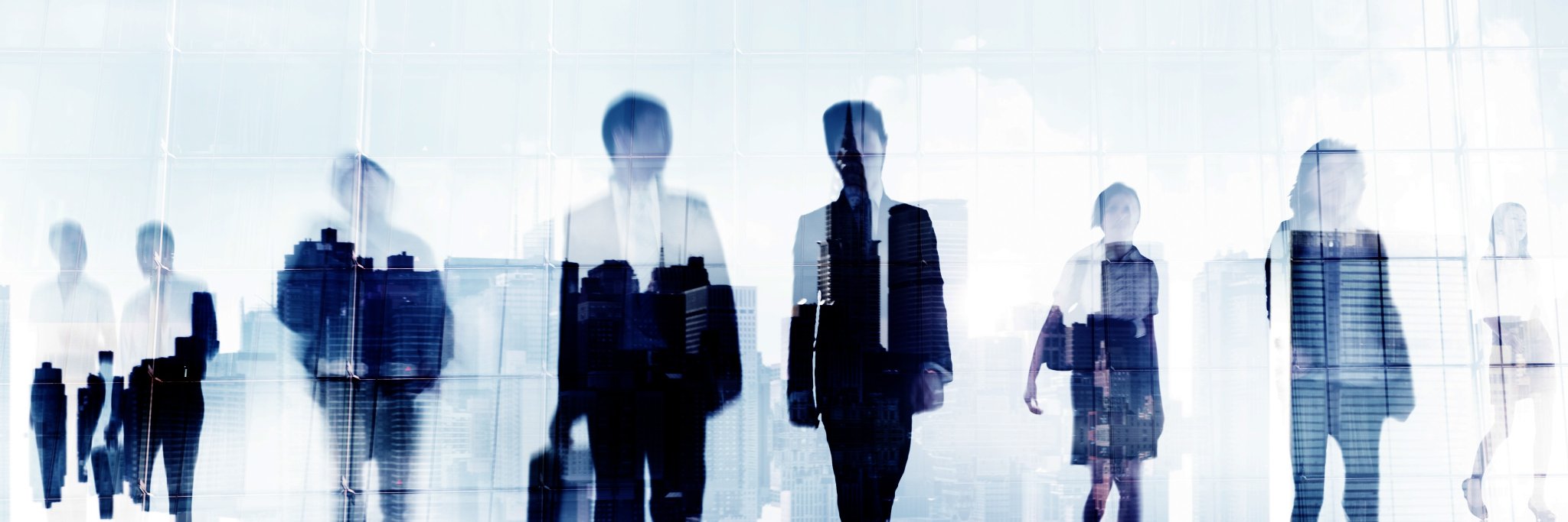 Drive My Career banner