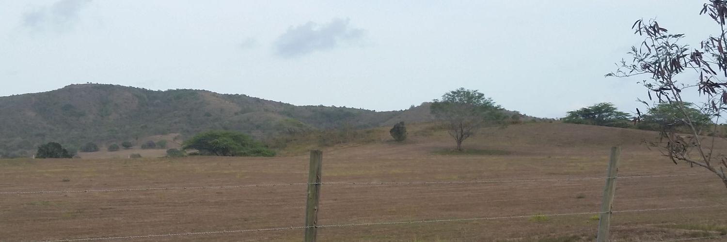 gramosbandas's profile banner image