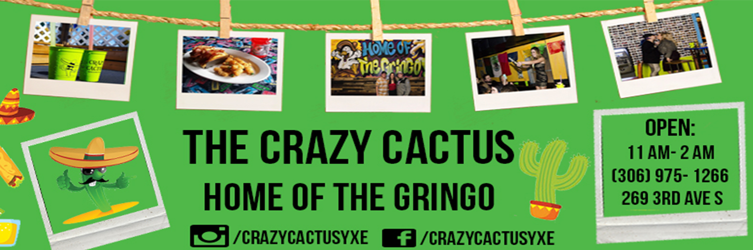 thecrazy_cactus's profile banner image