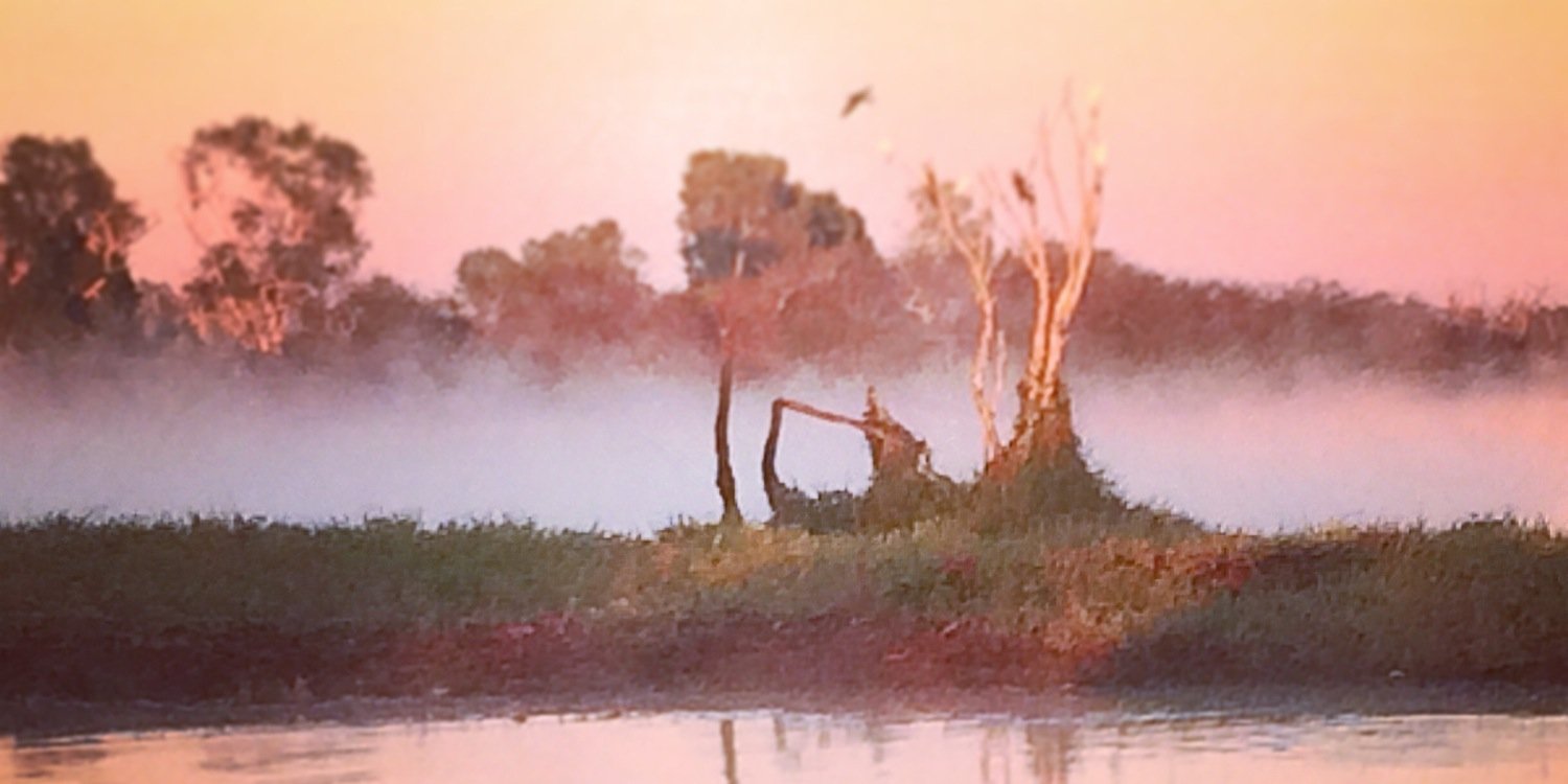 rakookoo's profile banner image