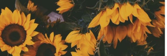 Kayleeeeennn's profile banner image