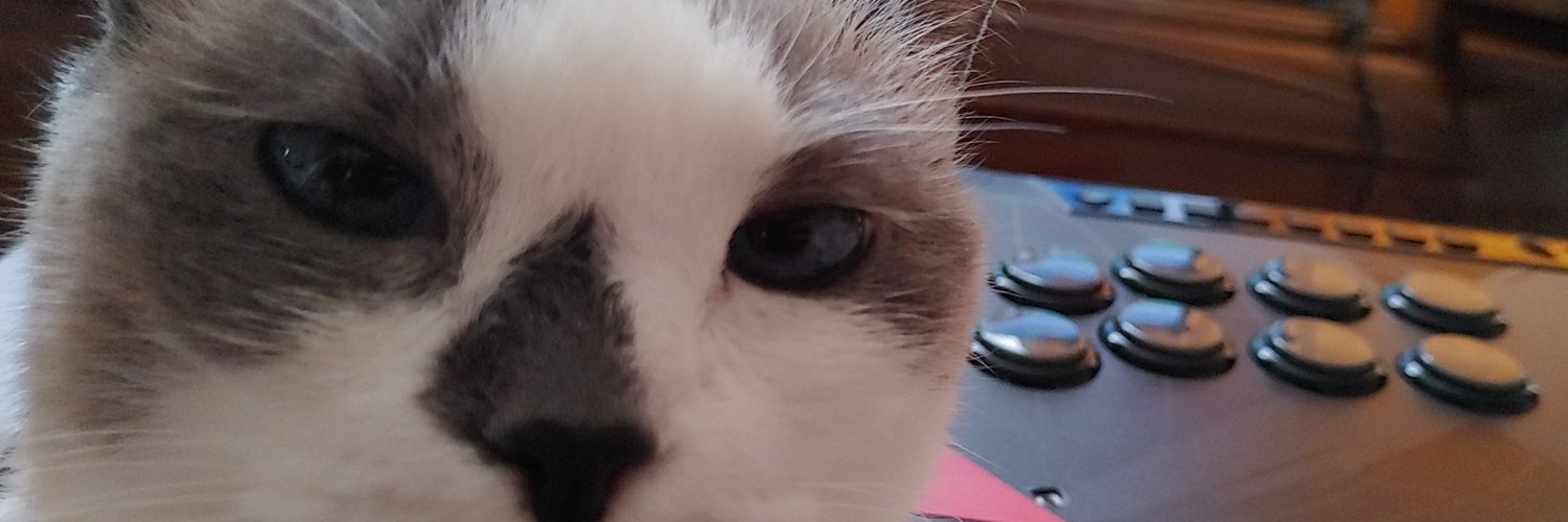 Solidusteve's profile banner image