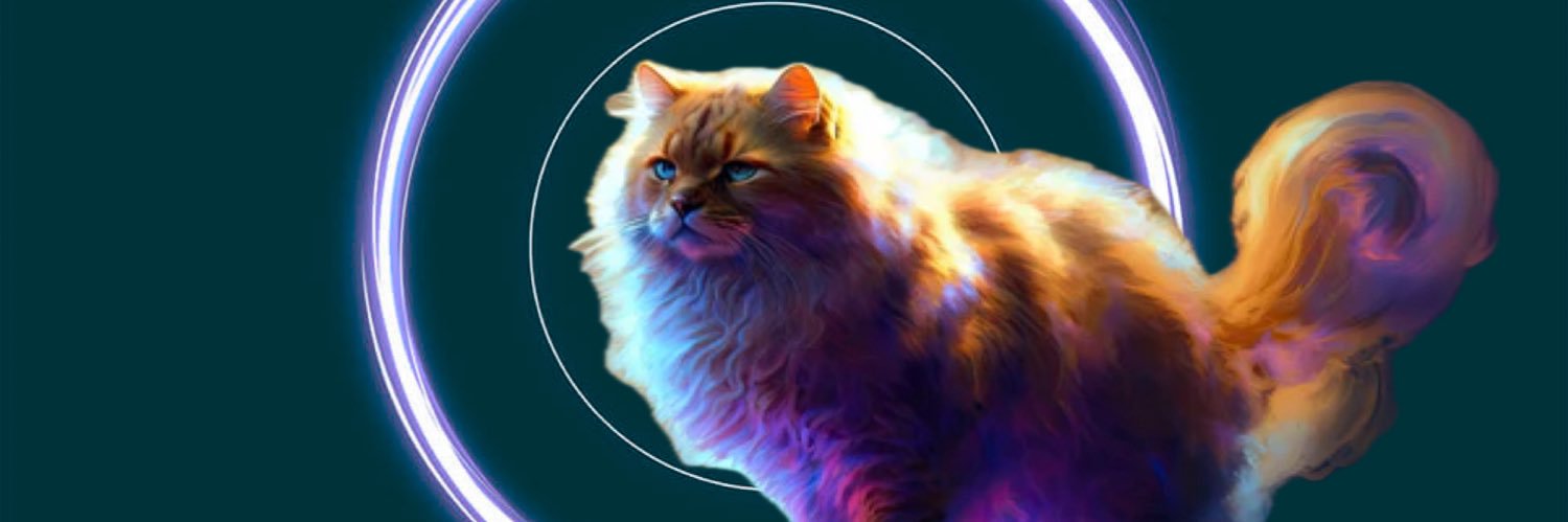 WithFelineEyes's profile banner image