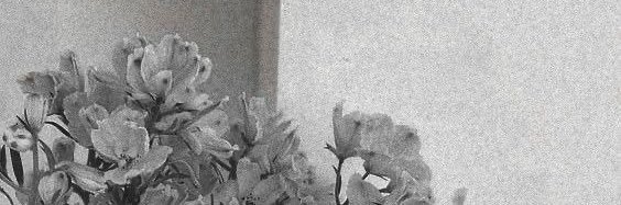 candyswifted's profile banner image