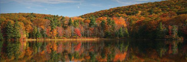 massforenergy Profile Banner