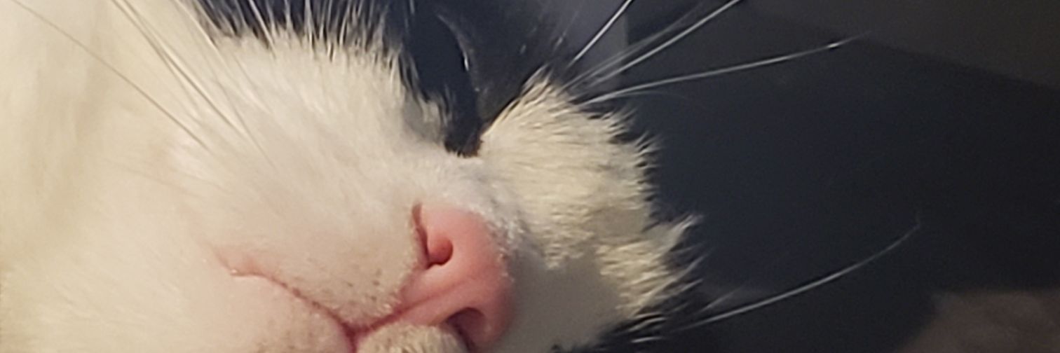 NTBD_'s profile banner image