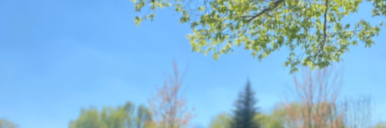 dus_es's profile banner image