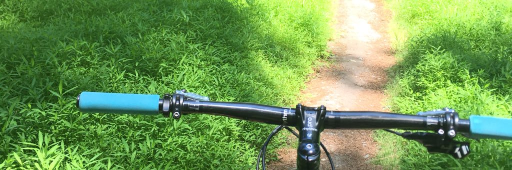 thetrailmayor's profile banner image