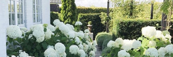 keepupwithle Profile Banner