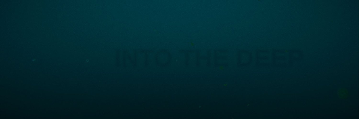 Into The Deep (@intothedeepgame) / Posts / X