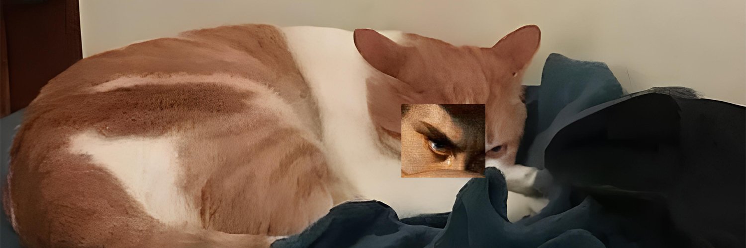 zPatroo banner