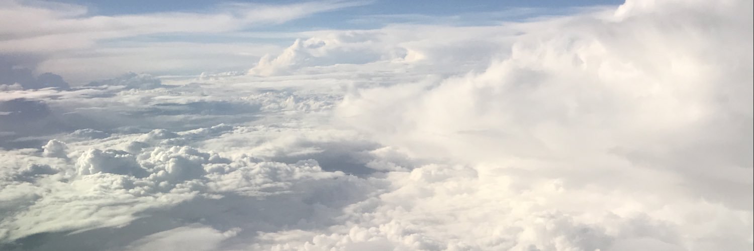 Mihai C. Ferariu banner