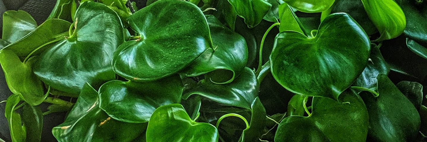 Stacey99960's profile banner image
