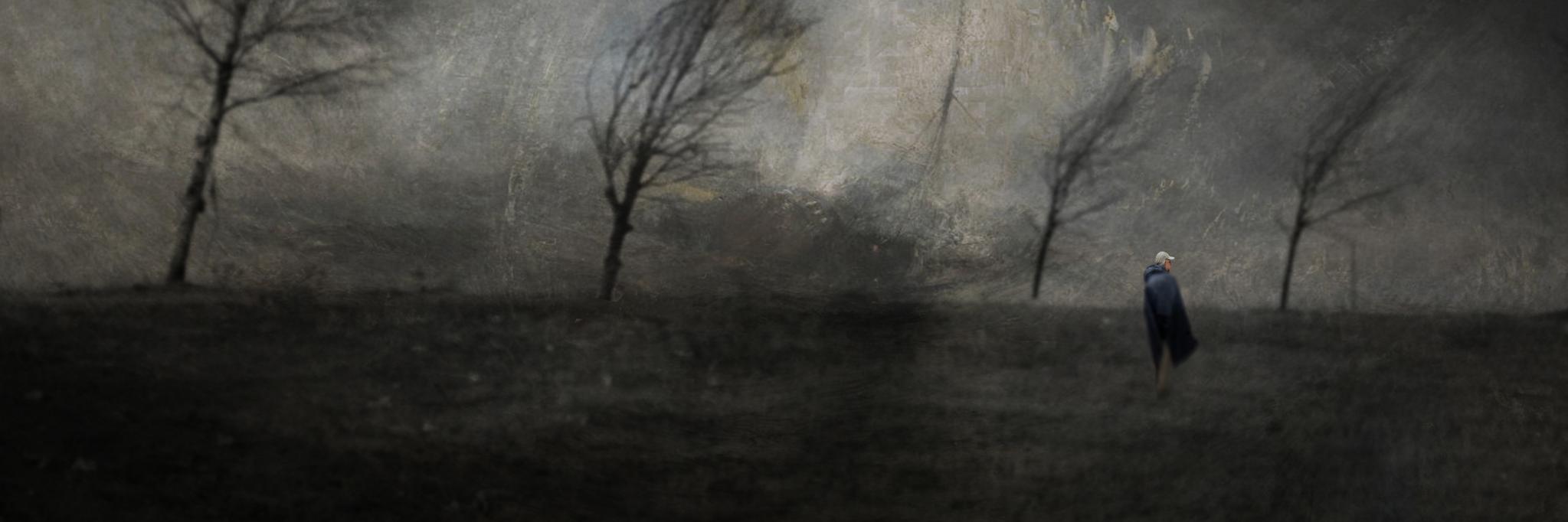 Whiteorkidea's profile banner image