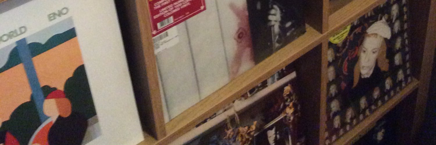 The Vinyl Frontier banner