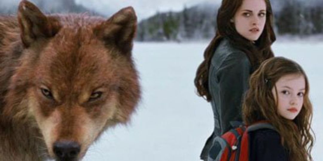 Alyshp's profile banner image
