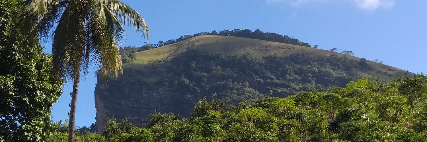 bifossi's profile banner image