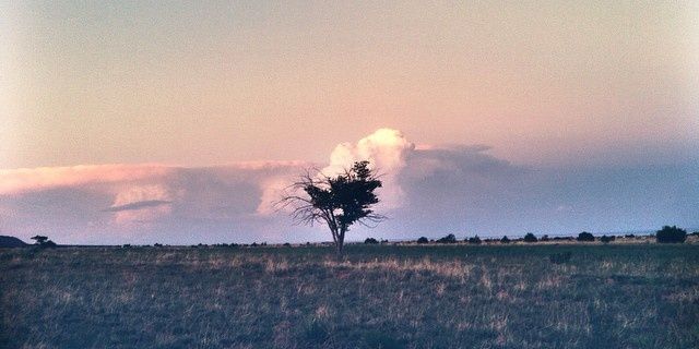 guanyi_ye's profile banner image
