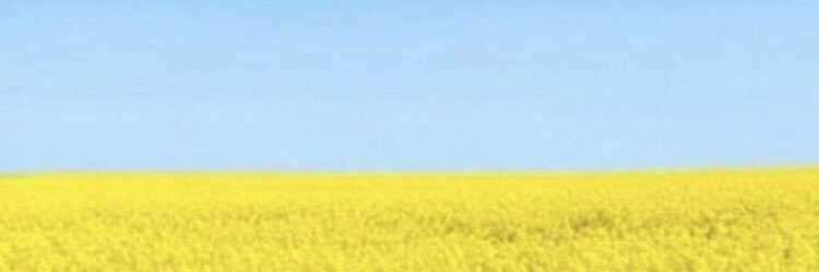 NickFitzH2O's profile banner image