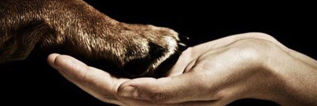 AliciaG12's profile banner image