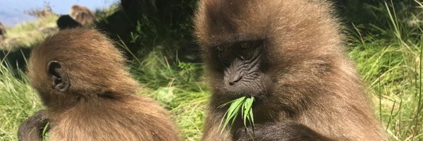 jacobafeder Profile Banner