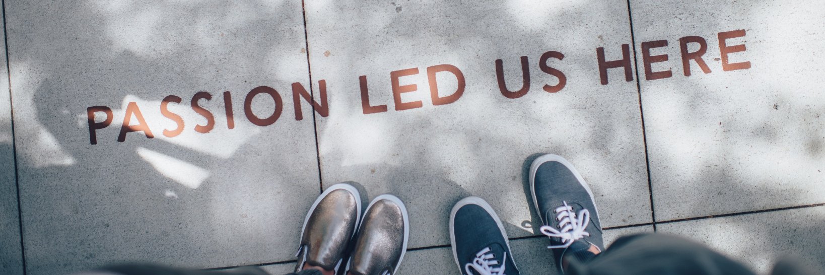 Thrive Impact banner