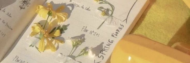 cher_limaaa's profile banner image
