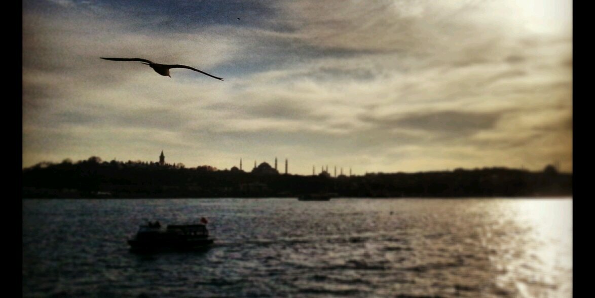 muratsam's profile banner image